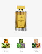 Lucille Majeste Elegante – Aromatic & Woody | 100 ML EDP | Long-Lasting Mastery