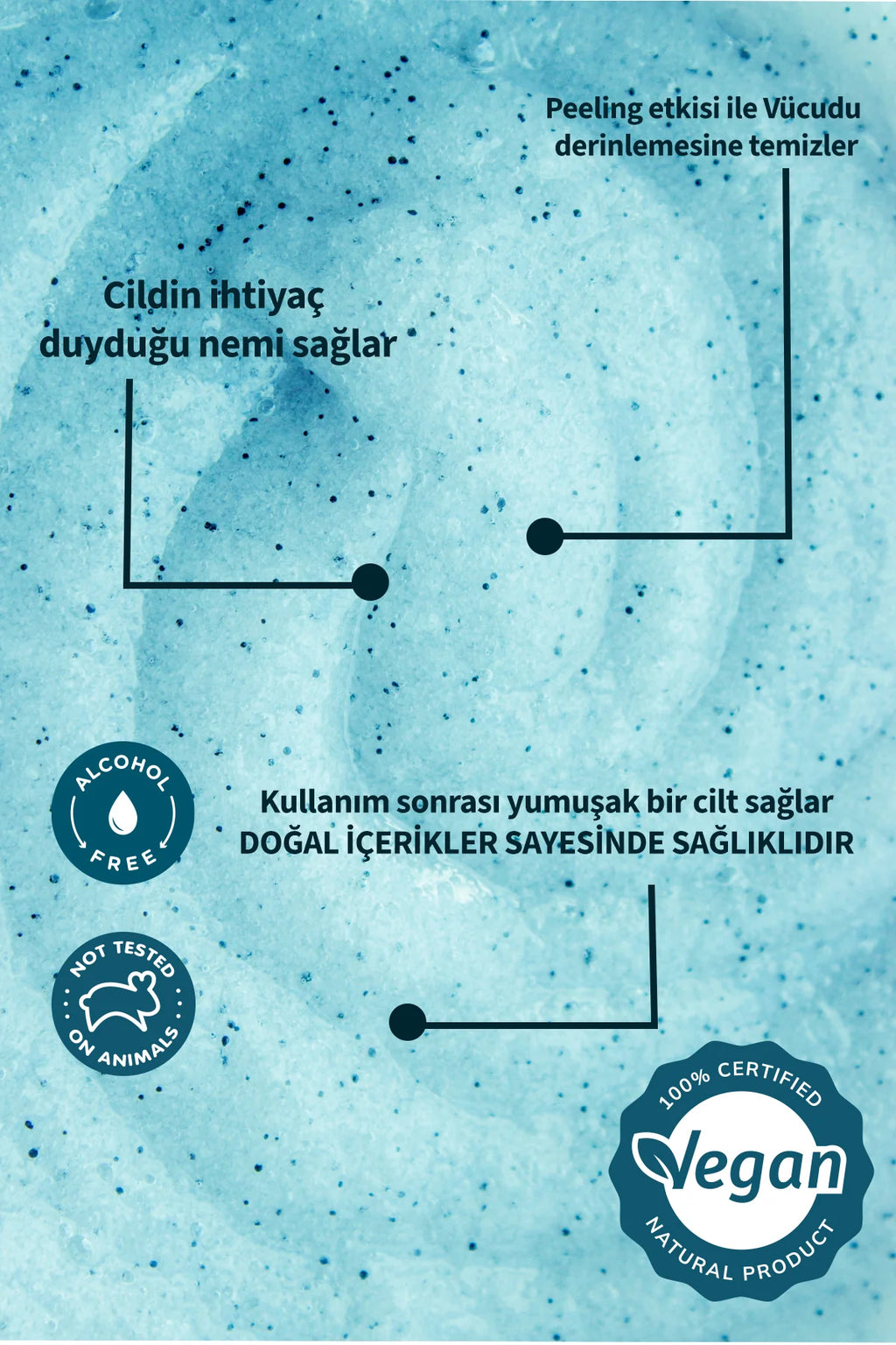 Blueberry Botanical Scrub - 250 ml