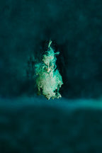 Aluminum-Free, All-Day Effective Stick Deodorant for Men